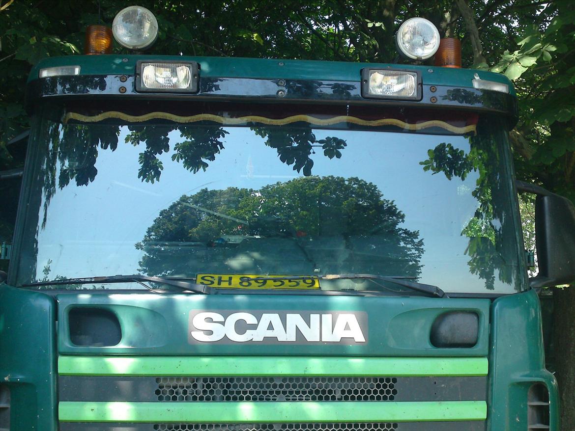 Scania 124 - Man kan da lige ane det lille forrude gardin. billede 7