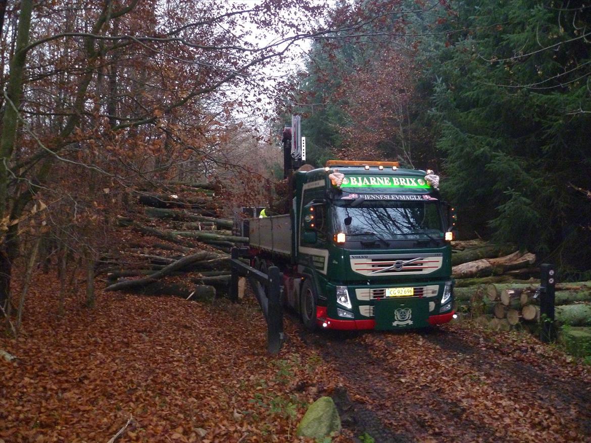 Volvo FM 13 500 Tridem billede 6