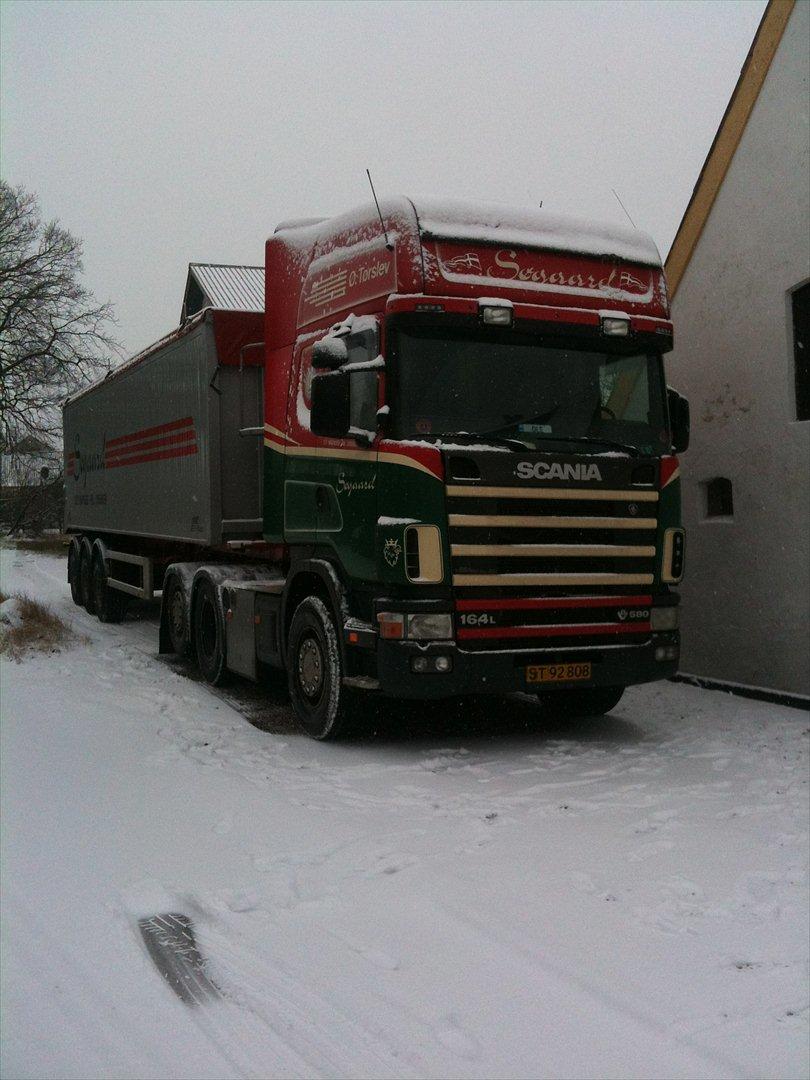 Scania 164L billede 16