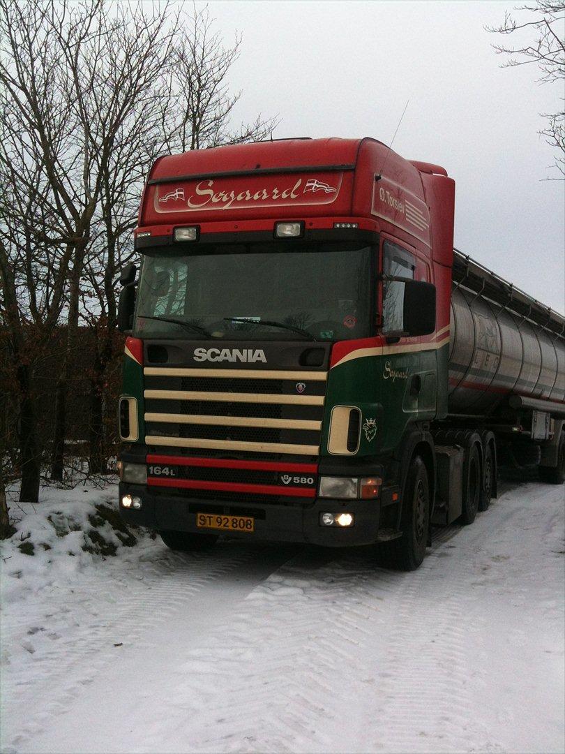 Scania 164L billede 18