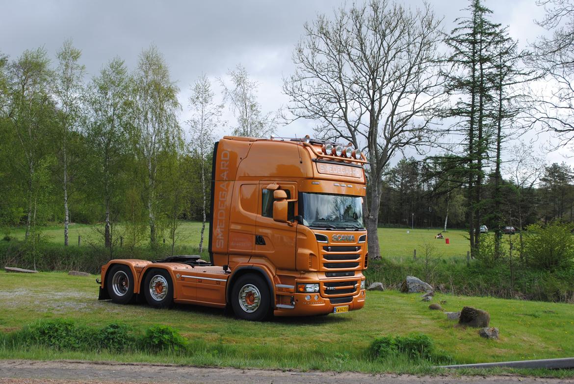 Scania R560 Topline V8 billede 3