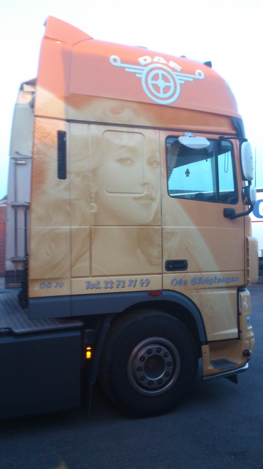 DAF 105.460 (HAYDEN PANETIERRE) billede 3
