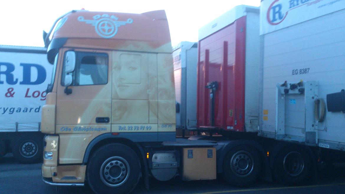 DAF 105.460 (HAYDEN PANETIERRE) billede 4