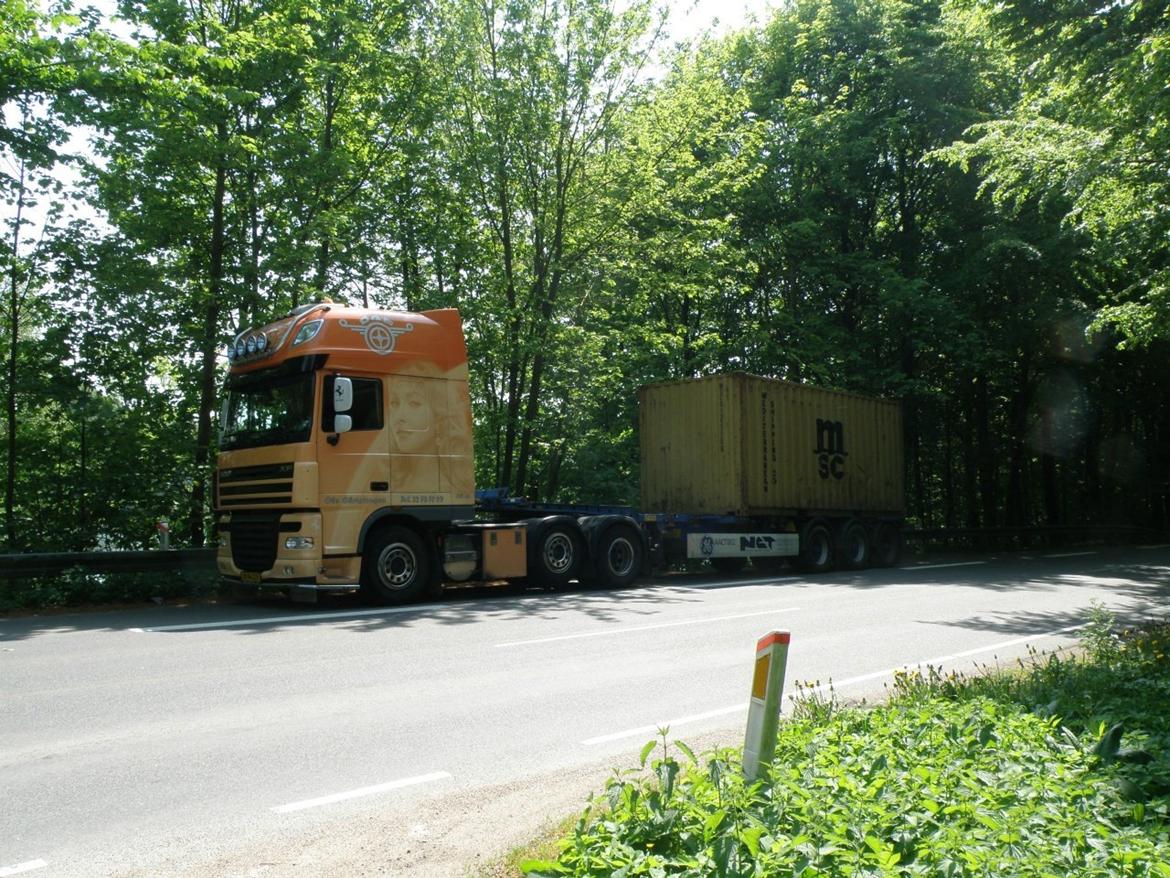 DAF 105.460 (HAYDEN PANETIERRE) billede 10
