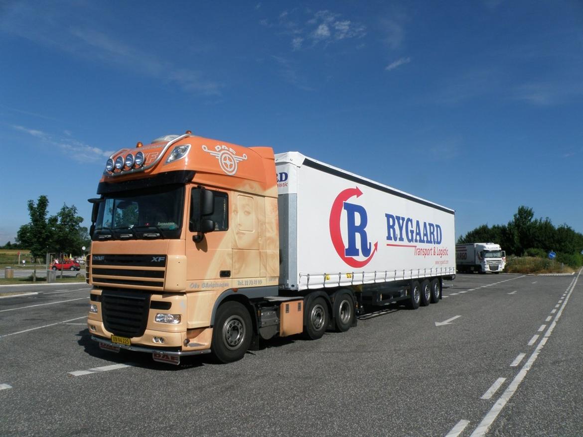 DAF 105.460 (HAYDEN PANETIERRE) billede 1