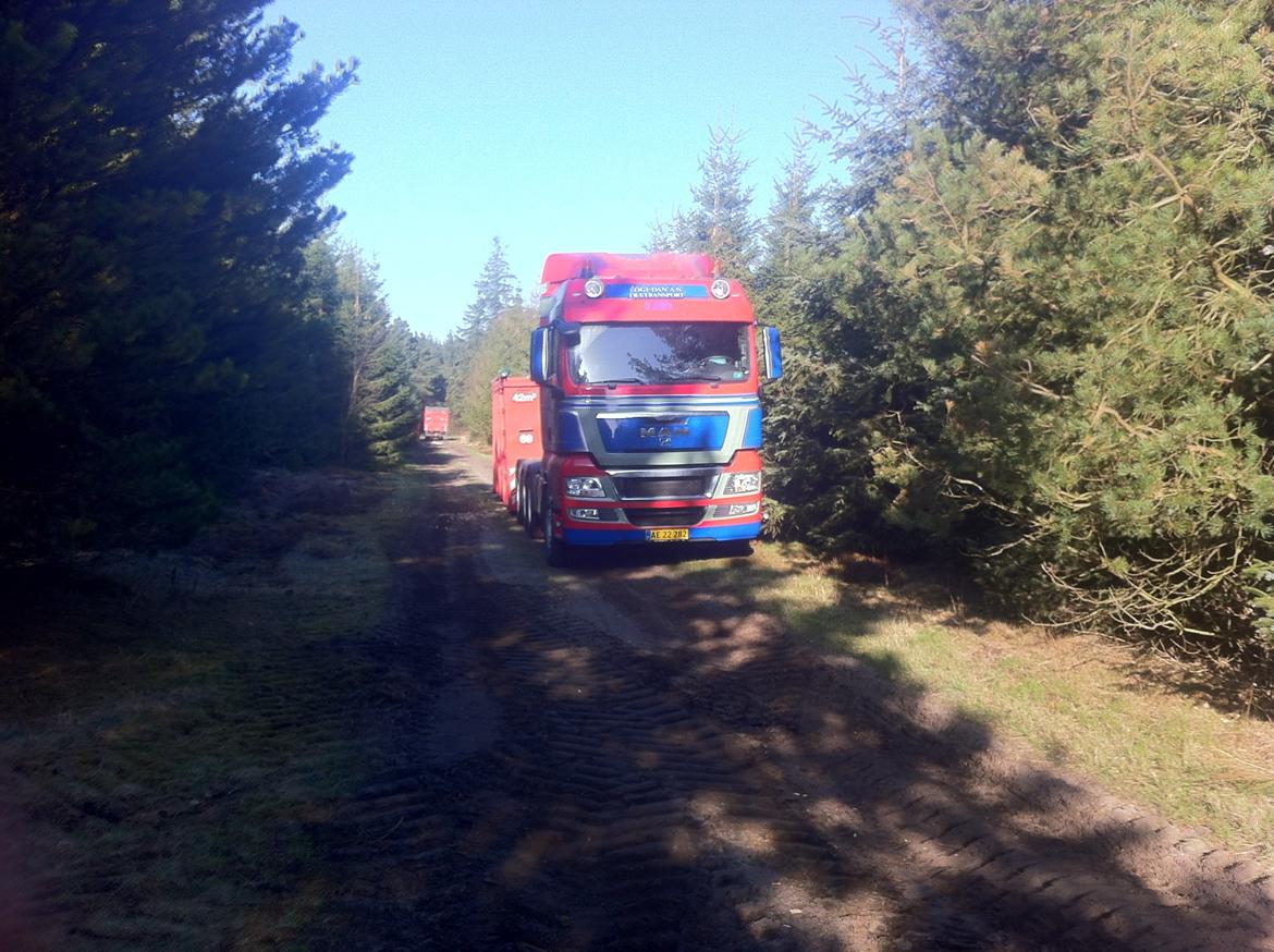 MAN TGX 35.540 - Lige op ad grænsen til Tyskland, langt ude i ingenting. billede 26