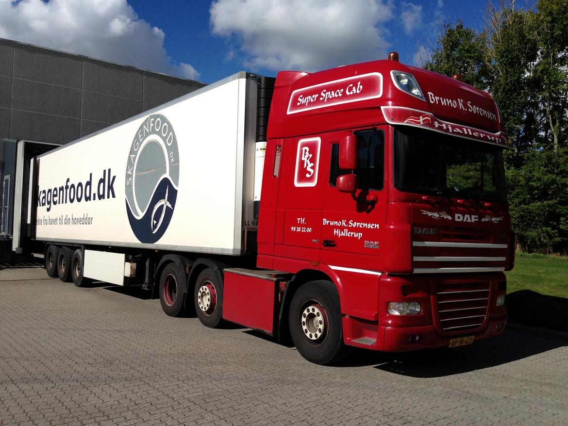 DAF XF 105.460 - Aflæsning af frost hos Fynbo Foods, Vrå. billede 4