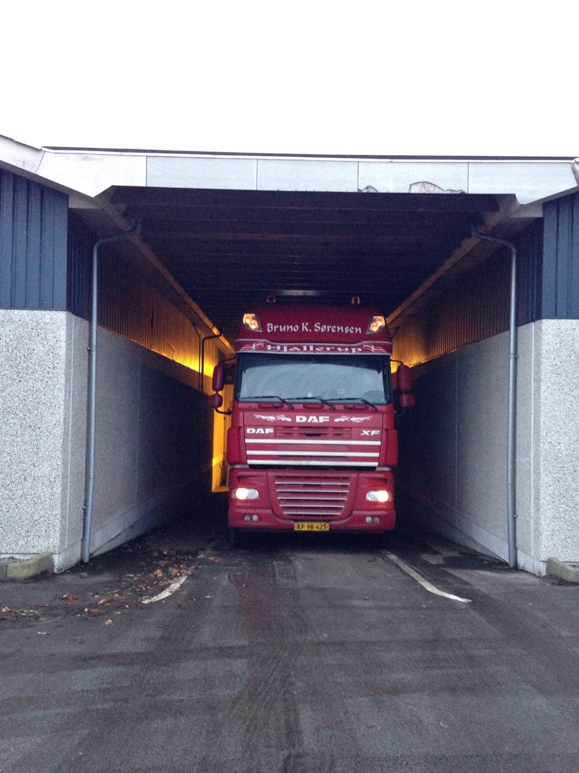 DAF XF 105.460 - 1 læs kartofler. billede 12