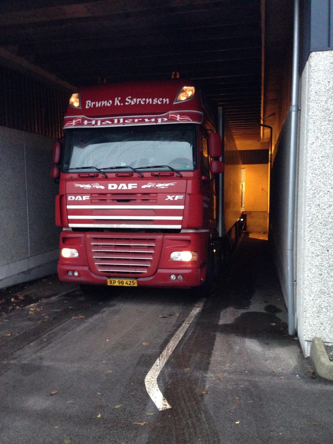 DAF XF 105.460 - 1 læs kartofler. billede 13