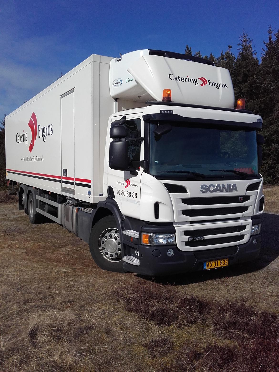 Scania P320 billede 1