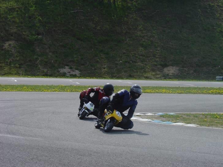 Pocketbike  - Teammates i battle . billede 19