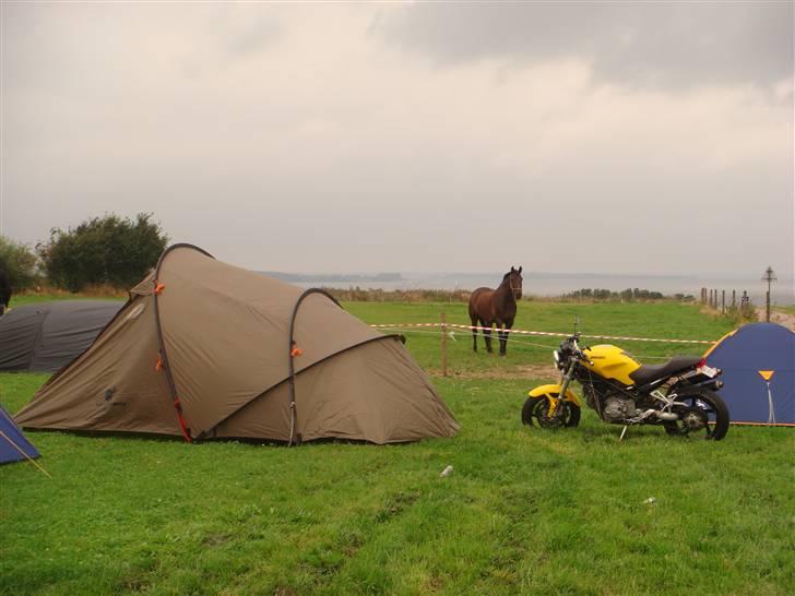 Panthers træf 2007 - Mit nye telt, min duc og en kødscooter i baggrunden! :o) billede 4