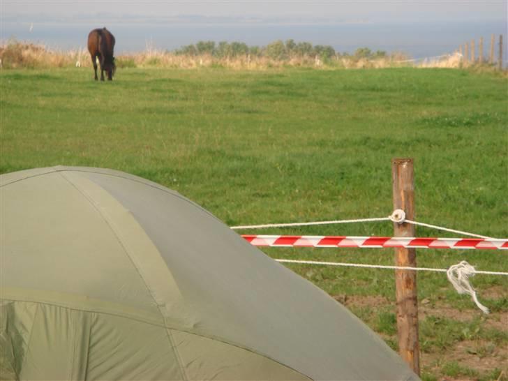 Panthers træf 2007 - Udsigt fra træf pladsen :o) billede 5