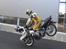 Freeride