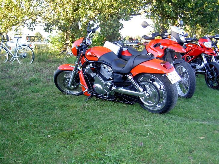 Tirsdagstræf i Löddeköpinge - V-Rod i fræk kulør :-) billede 5