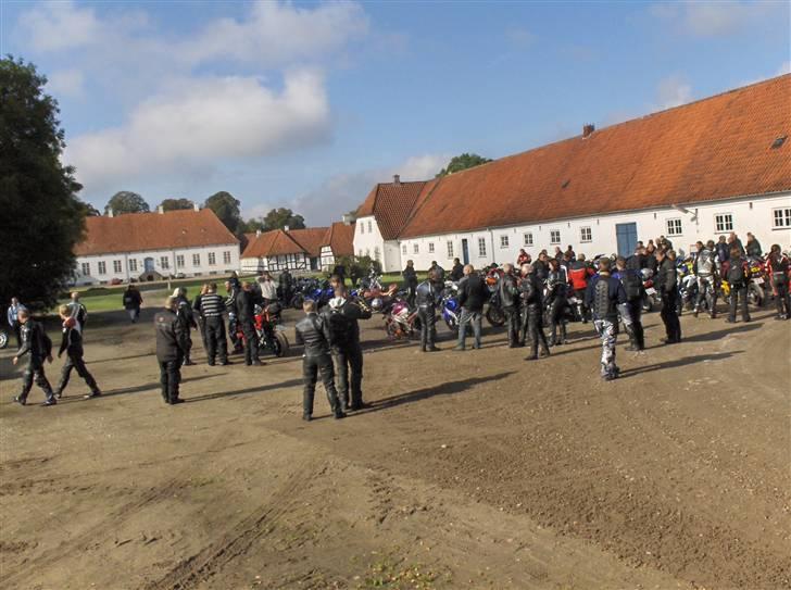 Mine billeder fra Helnæs turen billede 5