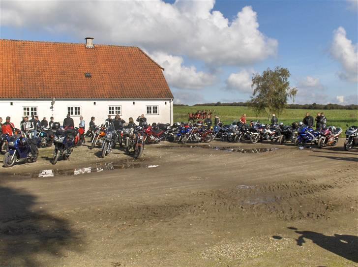 Mine billeder fra Helnæs turen billede 6