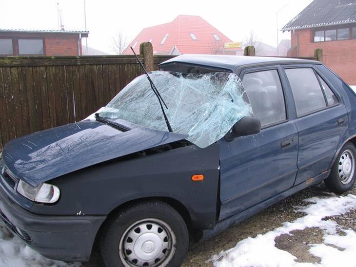 Skoda efter snestormen feb 07 billede 0
