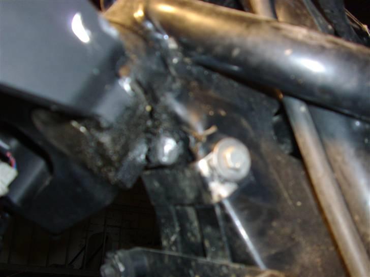 Bule i stel billede 4