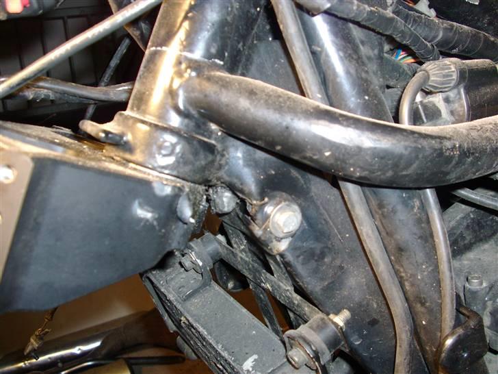 Bule i stel billede 5