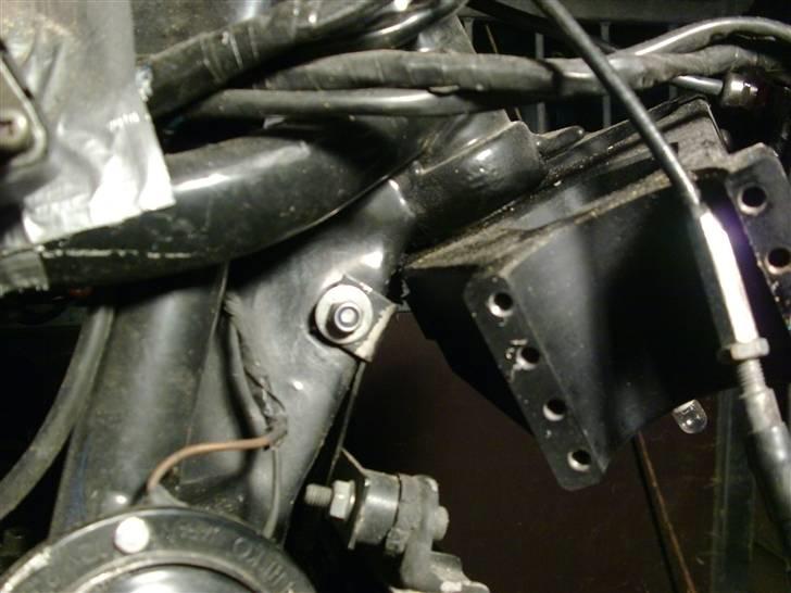 Bule i stel billede 6