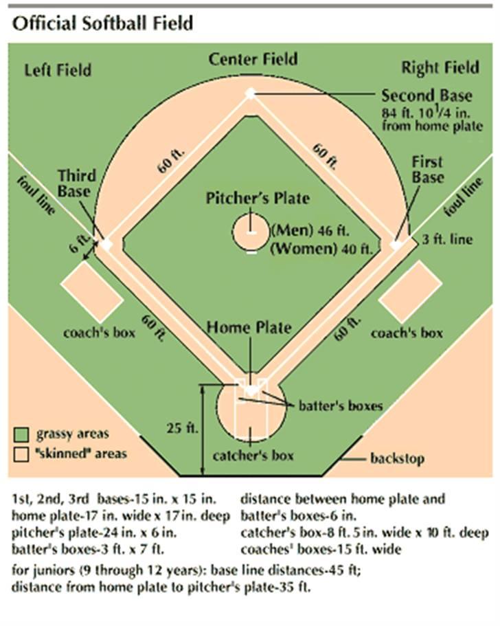 Billedresultat for softballbane"