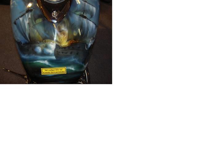 MC-messe i herning 2008 - Fedt billede billede 12