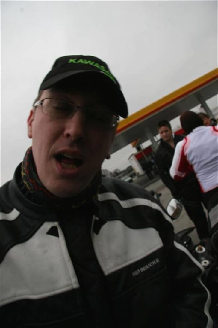 Åbning af ishuset ved hjejlen i silkeborg - Tyræskoen i stående søvn. Ali baba (banditten) skulle jo lige ha gemmet fårene ind. billede 2