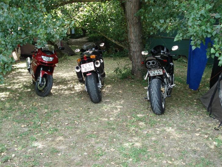 Camping Moto - Frankrig 2007 - Afslappet middagshvil under træerne, "Mille" mellem vennner. billede 6