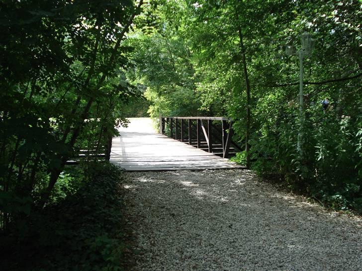 Camping Moto - Frankrig 2007 - Broen over "floden" billede 9