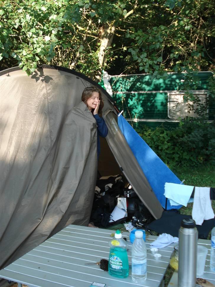 Camping Moto - Frankrig 2007 - Frøken morgenhår. billede 11