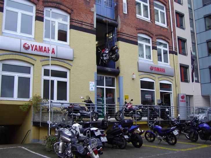 Tur til louis i hamborg billede 18