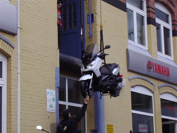 Tur til louis i hamborg billede 25