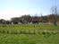 Moesgaard 20-4-2008