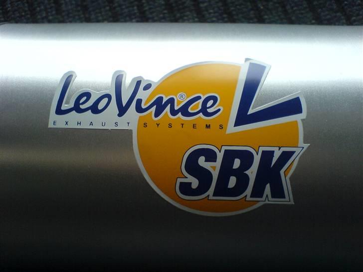 Leo Vince udstødning billede 1