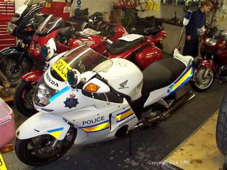 Tant og fjas - Policebird billede 8