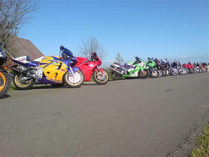 Gris fest KVONG!´08 billede 2