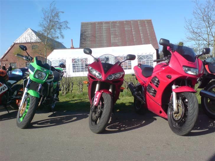 Gris fest KVONG!´08 billede 4