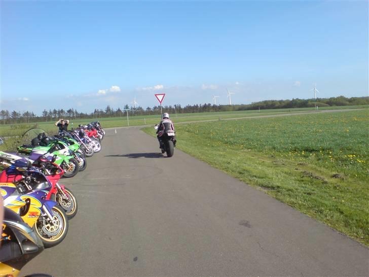 Gris fest KVONG!´08 billede 5