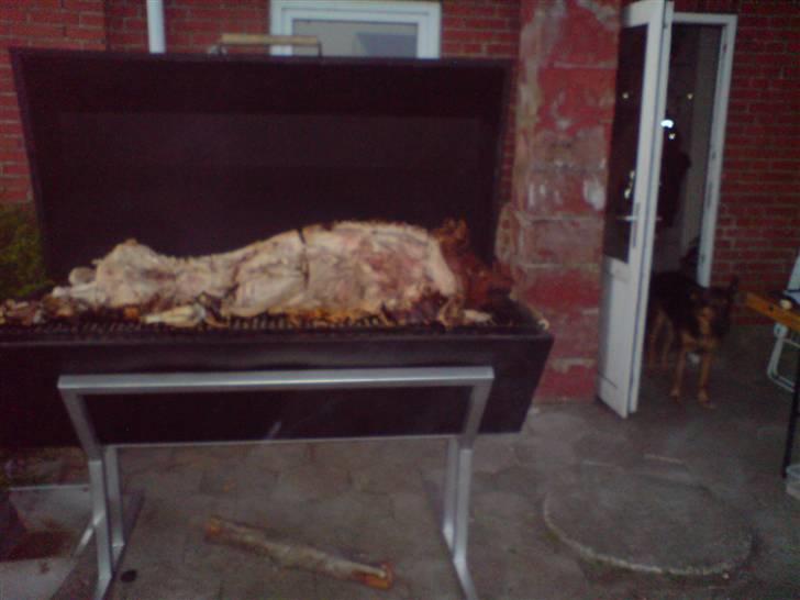 Gris fest KVONG!´08 billede 6