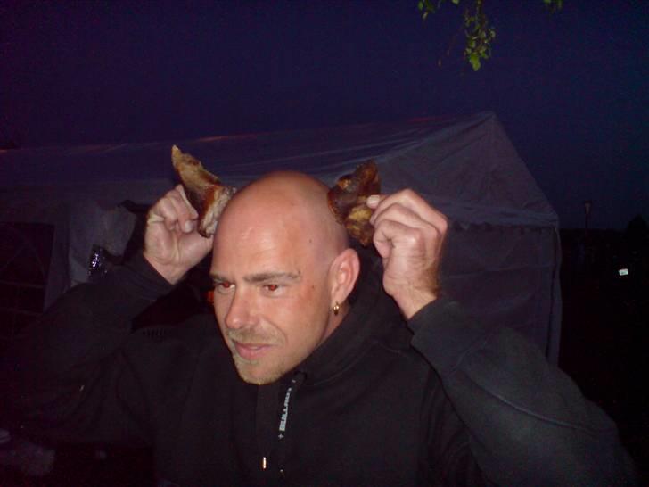 Gris fest KVONG!´08 billede 11