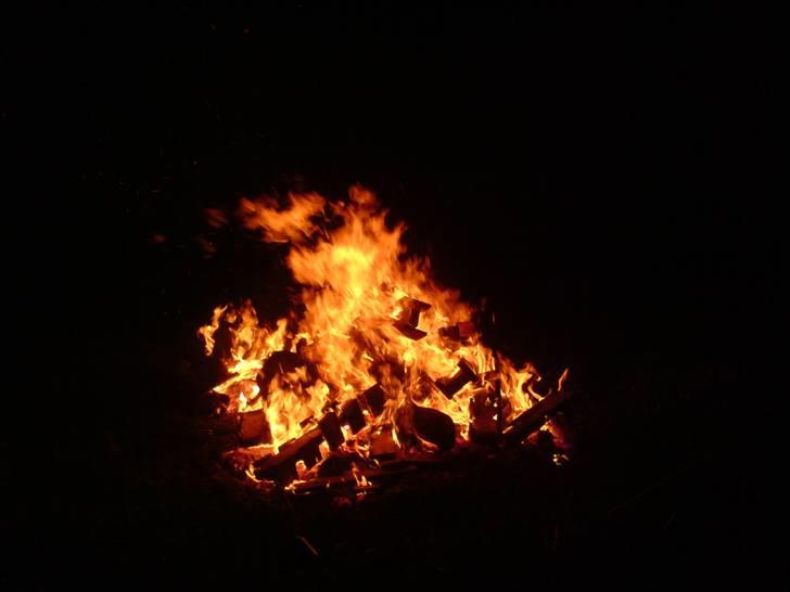 Gris fest KVONG!´08 billede 12