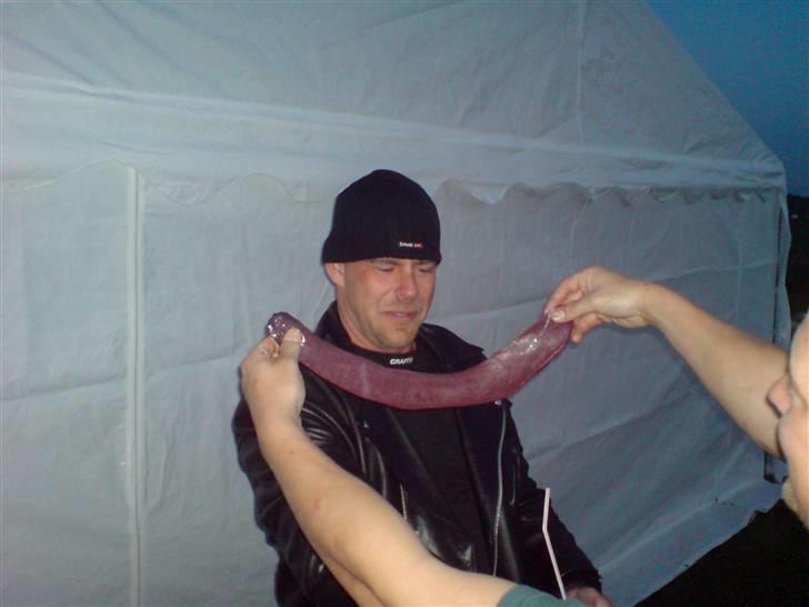 Gris fest KVONG!´08 billede 22