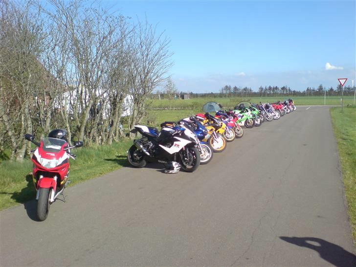 Gris fest KVONG!´08 billede 33