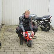 Pocketbike (Blata)