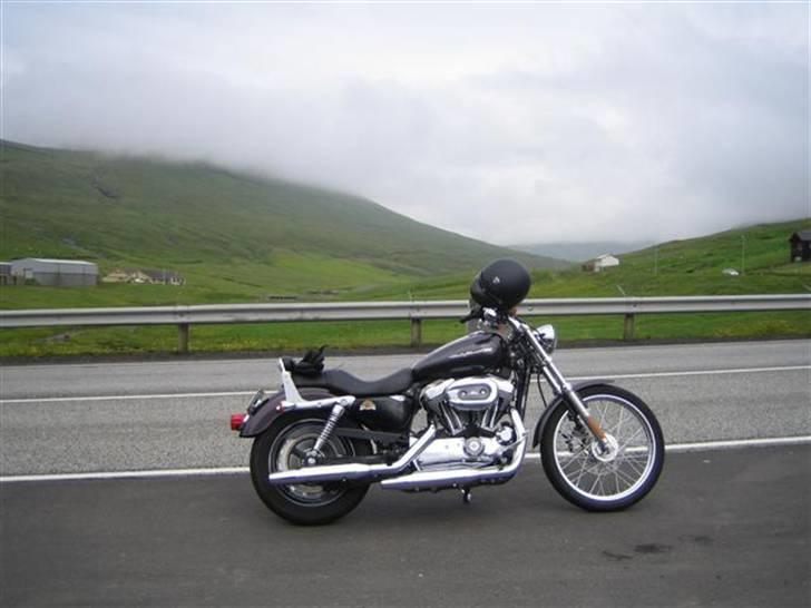 Mc-tur på Færøerne - Her mc'en vi lejede. En Harley Davidson 1200 sportster billede 2