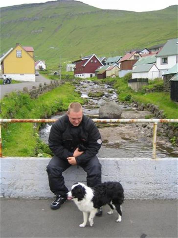 Mc-tur på Færøerne - Ja, og så mødte vi en hund... Ganske sød lille sag. billede 9