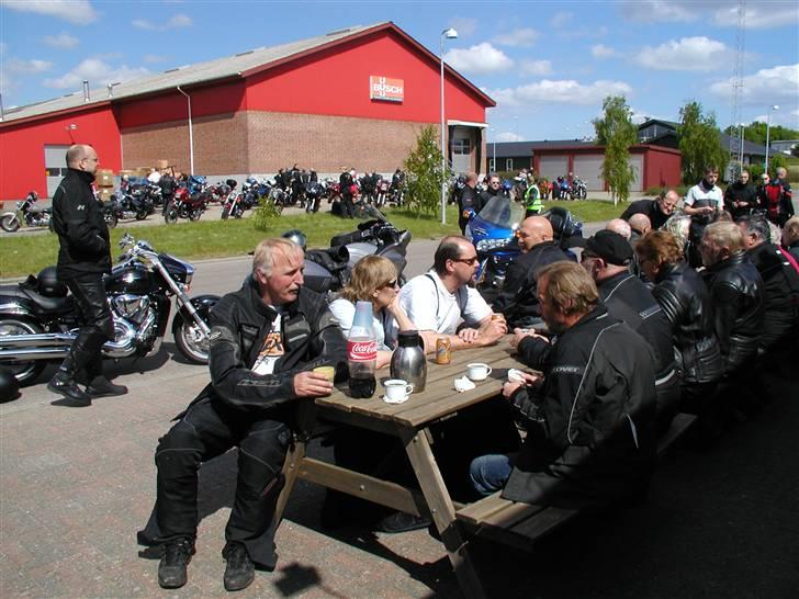 De halvgamle  18-5 08 billede 2