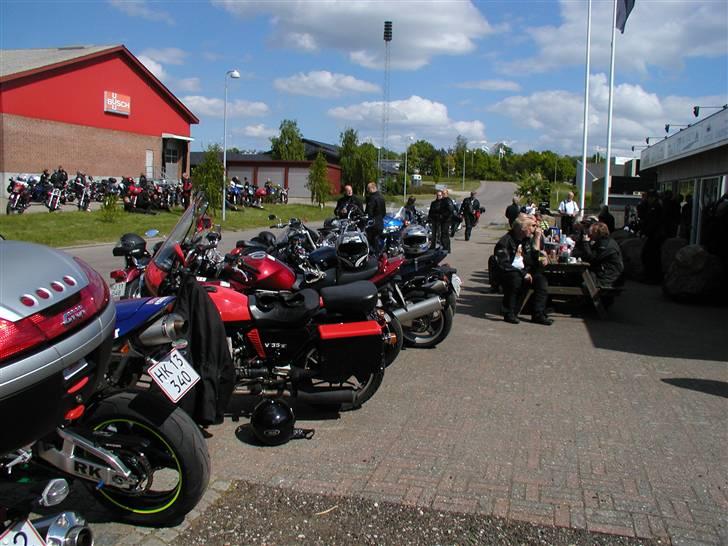 De halvgamle  18-5 08 billede 4