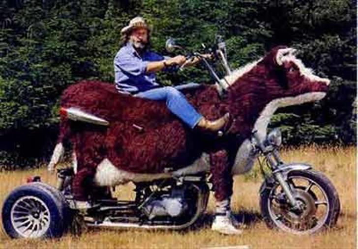 Tant og fjas billede 26